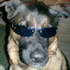 Meet your Posher, Dara